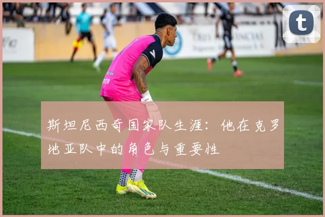 斯坦尼西奇国家队生涯:他在克罗地亚队中的角色与重要性